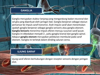 GANGLIA
Ganglia merupakan stuktur lonjong yang mengandung badan neuronal dan
sel glia yang diperkuat oleh jaringan ikat. Ganglia berperan sebagai stasiun
pemancar ke impuls saraf transmisi. Arah impuls saraf akan menentukan
apakah ganglia berperan sebagai ganglia sensoris atau ganglia otonom.
Ganglia Sensoris menerima impuls eferen menuju susunan saraf pusat.
Ganglia ini dibedakan menjadi 2 , yaitu ganglia kranial dan ganglia spinal.
Adapun ganglia otonom merupakan pelebaran membulat pada saraf
otonom. Ganglia ini terletak dalam dinding saluran cerna.
UJUNG SARAF
Ujung saraf eferen berhubungan dengan reseptor sensoris dengan jaringan
otot.
 