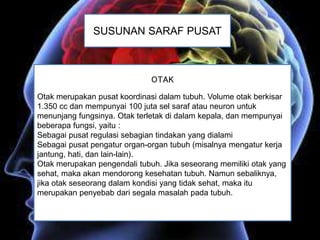 SUSUNAN SARAF PUSAT
OTAK
Otak merupakan pusat koordinasi dalam tubuh. Volume otak berkisar
1.350 cc dan mempunyai 100 juta sel saraf atau neuron untuk
menunjang fungsinya. Otak terletak di dalam kepala, dan mempunyai
beberapa fungsi, yaitu :
Sebagai pusat regulasi sebagian tindakan yang dialami
Sebagai pusat pengatur organ-organ tubuh (misalnya mengatur kerja
jantung, hati, dan lain-lain).
Otak merupakan pengendali tubuh. Jika seseorang memiliki otak yang
sehat, maka akan mendorong kesehatan tubuh. Namun sebaliknya,
jika otak seseorang dalam kondisi yang tidak sehat, maka itu
merupakan penyebab dari segala masalah pada tubuh.
 