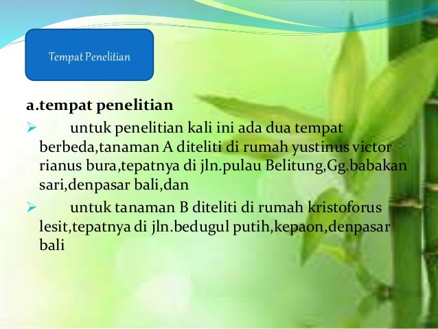 Pengaruh Msg Pada Tanaman Hias