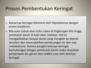 Proses Pembentukan Keringat
o Keluarnya keringat dikontrol oleh Hipotalamus dengan
enzim bradikinin.
o Bila suhu tubuh atau suhu udara di lingkungan kita tinggi,
pembuluh darah di kulit akan melebar. Hal ini
mengakibatkan banyak darah yang mengalir ke daerah
tersebut dan memudahkan pembuangan air dan sisa
metabolisme. Karena pangkal kelenjar keringat
berhubungan dengan pembuluh darah maka terjadilah
penyerapan air, garam dan sedikit urea oleh kelenjar
keringat.
 