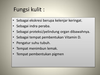Fungsi kulit :
• Sebagai ekskresi berupa kelenjar keringat.
• Sebagai indra peraba.
• Sebagai proteksi/pelindung organ dibawahnya.
• Sebagai tempat pembentukan Vitamin D.
• Pengatur suhu tubuh.
• Tempat menimbun lemak.
• Tempat pembentukan pigmen
 