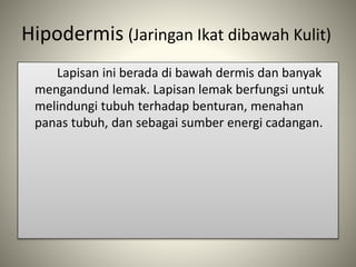 Hipodermis (Jaringan Ikat dibawah Kulit)
Lapisan ini berada di bawah dermis dan banyak
mengandund lemak. Lapisan lemak berfungsi untuk
melindungi tubuh terhadap benturan, menahan
panas tubuh, dan sebagai sumber energi cadangan.
 