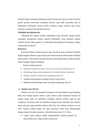 9
berperan dalam transpotasi beberapa molekul masuk dan keluar sel dan 2) protein
perifer (protein ekstrinsik) merupakan protein yang tidak menembus atau di
permukaan fosfolipida, protein perifer biasanya berupa hormon atau enzim
berperan mengatur kerja membran plasma.
Glikolipid dan glikoprotein
Glikolipid dan adalah molekul karbohidrat yang berikatan dengan lipida,
sedangkan glikoprotein adalah molekul karbohidrat yang berikatan dengan
molekul protein (lihat gambar 2). Glikolipid dan glikoprotein berfungsi sebagai
tanda pengenal bagi sel.
Kolesterol
Kolesterol dalam membran plasma akan berada di antara molekul fosfolipid
dengan bagian hidroksil yang bersifat polar akan berada di dekat kepala fosfolipid
(lihat gambar 2) Kolesterol memiliki peranan yang penting bagi membran plasma
dalam mengatur fungsi fosfolipida.
Fungsi membran plasma :
• Mengatur transportasi materi atau zat-zat masuk dan keluar dari sel
• Melindungi bagian atau komponen sel di sebelah dalam membrane
• Sebagai reseptor stimulus atau rangsangan untuk sel
• Tempat berlangsungnya berbagai macam reaksi kimia.
• Menjadi media hubungan antar sel dengan lingkungan luar sel
e) Nukleus atau Inti Sel
Nukleus atau inti sel merupakan komponen sel bermembran yang bentuknya
bulat atau lonjong seperti cakram. Letak nukleus pada sitoplasma biasanya di
tengah, tetapi pada sel tumbuhan seringkali nukleus terletak agak ke tepi
sitoplasma. Umumnya pada sel tumbuhan ataupun hewan memiliki satu nukleus,
tetapi ada pula yang memiliki nukleus lebih dari satu nukleus misalnya sel otot
lurik. Nukleus adalah bagian sel yang ukurannya lebih besar dibandingkan
dengan organel sel pada umumnya, yaitu berukuran antara 10 - 20 nm.
• Fungsi utama nukleus adalah mengendalikan seluruh kegiatan sel.
Secara lebih rinci, fungsi nukleus antara lain :
 