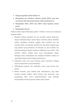 10
• Sebagai pengendali seluruh aktifitas sel
• Mengandung atau membawa informasi genetik (DNA) yang akan
mewariskan sifat-sifat genetik tersebut melalui pembelahan sel
• Memproduksi tRNA, rRNA dan mRNA untuk keperluan sintesis
protein
• Memproduksi ribosom
Struktur nukleus dapat dilihat pada gambar 4. Nukleus tersusun atas komponen-
kompoen berikut:
a. Membran nukleus (membran inti sel), memiliki struktur lipoprotein,
dengan fosfolipida bilayer seperti haknya membran plasma. Membran
nukleus merupakan membran rangkap yakni membran luar dan
membran dalam, dan diantara membran luar dan dalam terdapat ruang
yang disebut ruang perinuklear. Di beberapa sisi dari membran luar
berkesinambaungan dengan retikulum endoplasma kasar (rRE). Pada
membran nukleus terdapat porus yang memungkinkan adanya
hubungan antara nukleoplasma dan sitoplasma Membran nukleus ini
memisahkan bagian nukleus dengan sitoplasma sel
b. Nukleoulus (anak inti) yang berfungsi untuk mensintesis berbagai
macam molekul RNA (asam ribonukleat).
c. Nukleoplasma (plasma inti) merupakan cairan yang tersusun dari
protein
d. Butiran kromatin yang terdapat pada nukleoplasma, yang dapat
menebal menjadi struktur seperti benang yaitu kromosom yang
mengandung DNA (asam deoksiribonukleat) yang berfungsi
menyampaikan informasi genetik melalui sintesa protein.
 