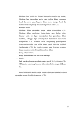 15
Membran luar terdiri dari lapisan lipoprotein (protein dan lemak).
Membran luar mengandung enzim yang terlibat dalam biosintesis
lemak dan enzim yang berperan dalam proses transpor lemak ke
matriks untuk menjalani β-oksidasi menghasilkan asetil-KoA.
• Membran dalam
Membran dalam merupakan tempat utama pembentukan ATP.
Membran dalam membentuk lipatan-lipatan yang disebut krista.
Struktur krista ini dapat meningkatkan luas permukaan dalam
membran, sehingga dapat menungkatkan kemampuan mitikondria
memproduksi ATP. Membran dalam mengandung protein-protein
berupa enzim-enzim yang terlibat dalam reaksi fosforilasi oksidatif
(pembentukan ATP) dan protein transport yang berperan mengatur
keluar masuknya metabolit melalui membran dalam.
• Ruang antar membran
Ruang antar membran luar dan dalam berfungsi.
• Matriks
Pada matriks mitokondria terdapat materi genetik DNA, ribosom, ATP,
ADP, enzim-enzim yang berperan dalam siklus Krebs, air, gas CO2 dan
O2.
Fungsi mitikondria adalah sebagai tempat terjadinya respirasi sel sehingga
merupakan tempat diproduksinya energi (ATP).
 
