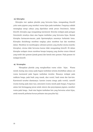 18
m) Kloroplas
Kloroplas mer upakan plastida yang berwarna hijau, mengandung klorofil
yaitu suatu pigmen yang memberi warna hijau pada tumbuhan. Fungsinya adalah
menangkap energi cahaya yang diperlukan untuk proses fotosintesis. Selain
klorofil, kloroplas juga mengandung karotenoid. Klorolas terdapat pada jaringan
fotosintetik misalnya daun atau bagian tumbuhan yang berwarna hijau. Bentuk
kloroplas bermacam-macam, pada Spermatophyta umumnya berbentuk lensa.
Kloroplas diselubungi membran rangkap yakni membran luar dan membran
dalam. Membran ini membungkus substansi protein yang disebut stroma (matriks
kloroplas), stroma tidak berwarna karena tidak mengandung klorofil. Di dalam
kloroplas terdapat sistem membran berupa lempeng yang disebut sistem tilakoid
yang terdiri dari granum (jamak:grana) dan lamela inter granum. Pada granum ini
terdapat klorofil.
n) Kromoplas
Merupakan plastida yang menghasilkan warna selain hijau. Warna
merah, kuning atau oranye pada bagian tumbuhan tertentu disebabkan adanya zat
warna karotenoid pada bagian tumbuhan tersebut. Biasanya terdapat pada
mahkota bunga, pada buah yang masak, akar wortel, buah tomat dan lain-lain.
Karotenoid tersebut diantaranya: karoten (warna orange pada wortel), xantofil
(warna kuning pada daun tua), antosianin (warna merah pada bunga), Fungsinya
antara lain bertanggung jawan untuk sintesis dan penyimpanan pigmen, memberi
warna pada bunga , buah atau bagian tumbuhan lain yang berwarna selain hijau,
untuk menarik perhatian hewan polinator atau penyebar biji.
 