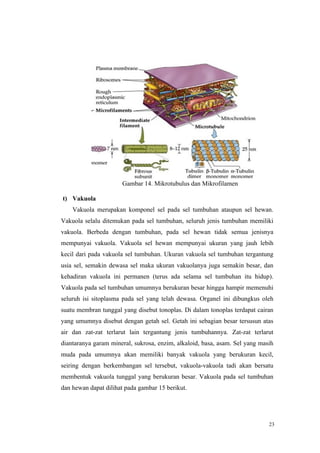 23
Gambar 14. Mikrotubulus dan Mikrofilamen
t) Vakuola
Vakuola merupakan komponel sel pada sel tumbuhan ataupun sel hewan.
Vakuola selalu ditemukan pada sel tumbuhan, seluruh jenis tumbuhan memiliki
vakuola. Berbeda dengan tumbuhan, pada sel hewan tidak semua jenisnya
mempunyai vakuola. Vakuola sel hewan mempunyai ukuran yang jauh lebih
kecil dari pada vakuola sel tumbuhan. Ukuran vakuola sel tumbuhan tergantung
usia sel, semakin dewasa sel maka ukuran vakuolanya juga semakin besar, dan
kehadiran vakuola ini permanen (terus ada selama sel tumbuhan itu hidup).
Vakuola pada sel tumbuhan umumnya berukuran besar hingga hampir memenuhi
seluruh isi sitoplasma pada sel yang telah dewasa. Organel ini dibungkus oleh
suatu membran tunggal yang disebut tonoplas. Di dalam tonoplas terdapat cairan
yang umumnya disebut dengan getah sel. Getah ini sebagian besar tersusun atas
air dan zat-zat terlarut lain tergantung jenis tumbuhannya. Zat-zat terlarut
diantaranya garam mineral, sukrosa, enzim, alkaloid, basa, asam. Sel yang masih
muda pada umumnya akan memiliki banyak vakuola yang berukuran kecil,
seiring dengan berkembangan sel tersebut, vakuola-vakuola tadi akan bersatu
membentuk vakuola tunggal yang berukuran besar. Vakuola pada sel tumbuhan
dan hewan dapat dilihat pada gambar 15 berikut.
 