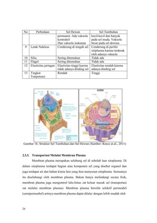 26
No Perbedaan Sel Hewan Sel Tumbuhan
permanen. Ada vakuola
kontraktil
Dan vakuola makanan
kecil-kecil dan banyak
pada sel muda. Vakuola
besar pada sel dewasa
9 Letak Nukleus Cenderung di tengah sel Cenderung di perifer
sitiplasma karena terdesak
oleh adanya vakuola
10 Silia Sering ditemukan Tidak ada
11 Flagel Sering ditemukan Tidak ada
12 Elastisitas jaringan Elastisitas tinggi karena
tidak adanya dinding sel
Elastisitas rendah karena
adanya dinding sel
13 Tingkat
Totipotensi
Rendah Tinggi
Gambar 16. Struktur Sel Tumbuhan dan Sel Hewan (Sumber: Reece at.al., 2011)
2.3.3. Transportasi Melalui Membran Plasma
Membran plasma merupakan selubung sel di sebelah luar sitoplasma. Di
dalam sitoplasma terdapat bagian atau komponen sel yang disebut organel dan
juga terdapat air dan bahan kimia lain yang ikut menyusun sitoplasma. Semuanya
itu diselubungi oleh membran plasma. Bukan hanya melindungi secara fisik,
membran plasma juga mengontrol lalu-lintas zat keluar masuk sel (transportasi
zat melalui membran plasma). Membran plasma bersifat selektif permeabel
(semipermeabel) artinya membran plasma dapat dilalui dengan lebih mudah oleh
 