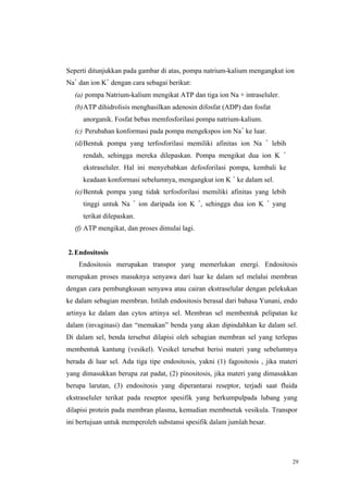 29
Seperti ditunjukkan pada gambar di atas, pompa natrium-kalium mengangkut ion
Na+
dan ion K+
dengan cara sebagai berikut:
(a) pompa Natrium-kalium mengikat ATP dan tiga ion Na + intraseluler.
(b)ATP dihidrolisis menghasilkan adenosin difosfat (ADP) dan fosfat
anorganik. Fosfat bebas memfosforilasi pompa natrium-kalium.
(c) Perubahan konformasi pada pompa mengekspos ion Na+
ke luar.
(d)Bentuk pompa yang terfosforilasi memiliki afinitas ion Na +
lebih
rendah, sehingga mereka dilepaskan. Pompa mengikat dua ion K +
ekstraseluler. Hal ini menyebabkan defosforilasi pompa, kembali ke
keadaan konformasi sebelumnya, mengangkut ion K +
ke dalam sel.
(e)Bentuk pompa yang tidak terfosforilasi memiliki afinitas yang lebih
tinggi untuk Na +
ion daripada ion K +
, sehingga dua ion K +
yang
terikat dilepaskan.
(f) ATP mengikat, dan proses dimulai lagi.
2.Endositosis
Endositosis merupakan transpor yang memerlukan energi. Endositosis
merupakan proses masuknya senyawa dari luar ke dalam sel melalui membran
dengan cara pembungkusan senyawa atau cairan ekstraselular dengan pelekukan
ke dalam sebagian membran. Istilah endositosis berasal dari bahasa Yunani, endo
artinya ke dalam dan cytos artinya sel. Membran sel membentuk pelipatan ke
dalam (invaginasi) dan “memakan” benda yang akan dipindahkan ke dalam sel.
Di dalam sel, benda tersebut dilapisi oleh sebagian membran sel yang terlepas
membentuk kantung (vesikel). Vesikel tersebut berisi materi yang sebelumnya
berada di luar sel. Ada tiga tipe endositosis, yakni (1) fagositosis , jika materi
yang dimasukkan berupa zat padat, (2) pinositosis, jika materi yang dimasukkan
berupa larutan, (3) endositosis yang diperantarai reseptor, terjadi saat fluida
ekstraseluler terikat pada reseptor spesifik yang berkumpulpada lubang yang
dilapisi protein pada membran plasma, kemudian membnetuk vesikula. Transpor
ini bertujuan untuk memperoleh substansi spesifik dalam jumlah besar.
 
