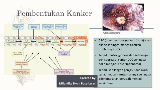 Patobiologi Molekuler Kanker - Biologi Molekuler Kanker Created By Milantikadp patobiologi molekuler kanker biologi molekuler kanker created by milantikadp