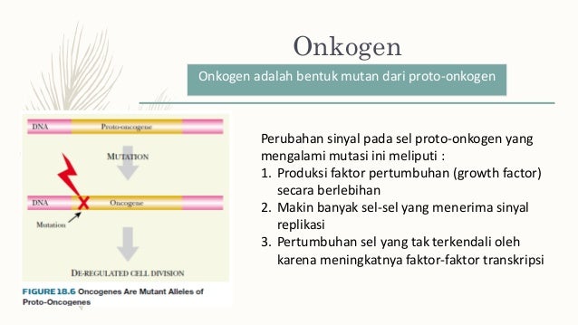 Biologi Molekuler Kanker Created By Milantikadp biologi molekuler kanker created by milantikadp
