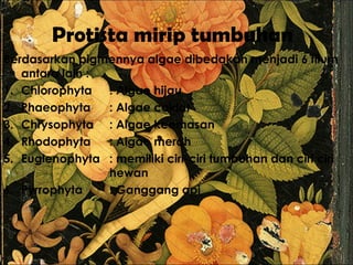 Protista mirip tumbuhan
Berdasarkan pigmennya algae dibedakan menjadi 6 filum
antara lain :
1. Chlorophyta : Algae hijau
2. Phaeophyta : Algae coklat
3. Chrysophyta : Algae keemasan
4. Rhodophyta : Algae merah
5. Euglenophyta : memiliki ciri-ciri tumbuhan dan ciri ciri
hewan
6. Pyrrophyta : Ganggang api
 