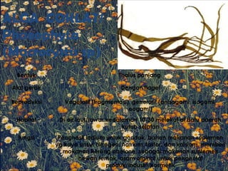 ALGA COKLAT/
Phaeophyta
(Macrocystis sp)
Bentuk Thalus panjang
Alat gerak Dengan flagel
Reproduksi Vegetatif (fragmentasi), generatif (anisogami, isogami,
oogami)
Habitat Di air laut/tawar kedalaman 10-30 melekat di batu daerah
kutub selatan
fungsi Penghasil iodium untuk gondok, bahan makanan suplemen
yg kaya unsur nitrogen, natrium, fosfor, dan kalsium, memberi
makanan kerang abelone, sebagai makanan suplemen
hewan ternak, asam alginat untuk pengental
produk/industri/kosmetik
 