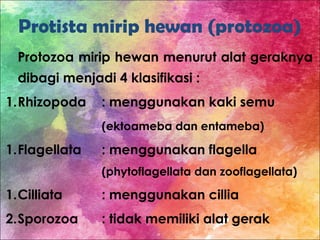 Protista mirip hewan (protozoa)
Protozoa mirip hewan menurut alat geraknya
dibagi menjadi 4 klasifikasi :
1.Rhizopoda : menggunakan kaki semu
(ektoameba dan entameba)
1.Flagellata : menggunakan flagella
(phytoflagellata dan zooflagellata)
1.Cilliata : menggunakan cillia
2.Sporozoa : tidak memiliki alat gerak
 