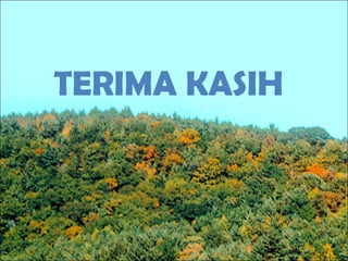 TERIMA KASIH
 