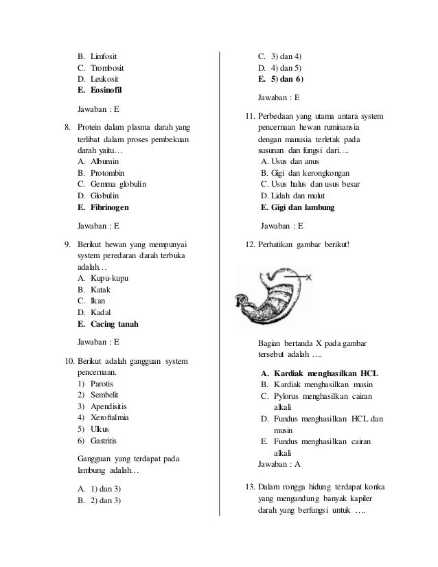 Biologi Kelas 11 - Download PDF
