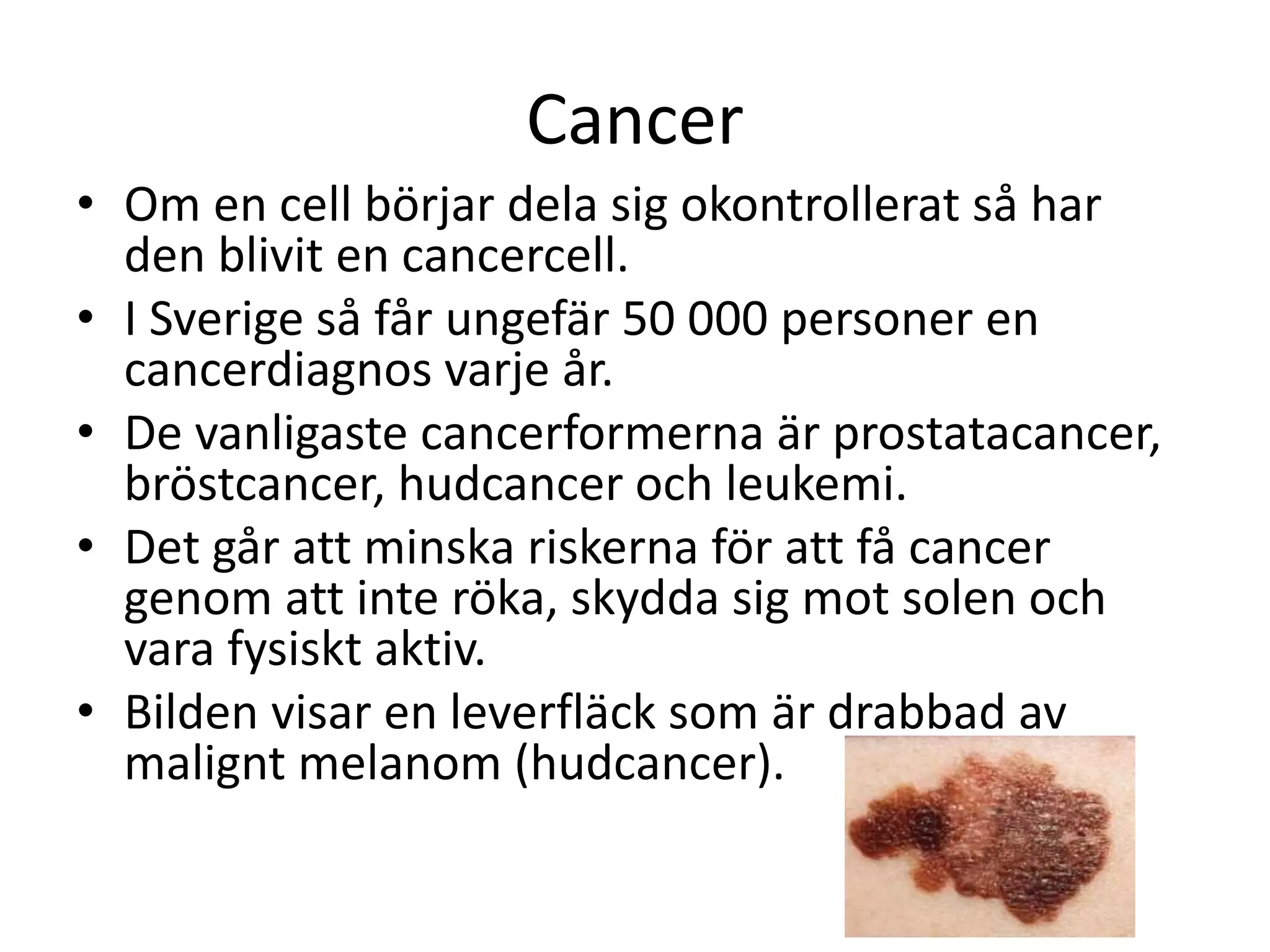 Lena Koinberg | Biologi: Cellen och arvet | PPTX