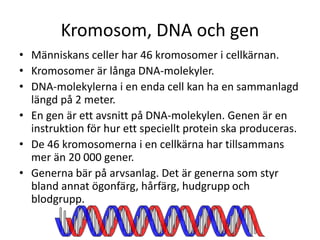 Lena Koinberg | Biologi: Cellen och arvet | PPTX