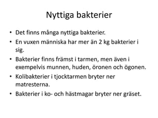 Nyttiga bakterier
• Det finns många nyttiga bakterier.
• En vuxen människa har mer än 2 kg bakterier i
sig.
• Bakterier finns främst i tarmen, men även i
exempelvis munnen, huden, öronen och ögonen.
• Kolibakterier i tjocktarmen bryter ner
matresterna.
• Bakterier i ko- och hästmagar bryter ner gräset.
 