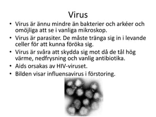 Virus
• Virus är ännu mindre än bakterier och arkéer och
omöjliga att se i vanliga mikroskop.
• Virus är parasiter. De måste tränga sig in i levande
celler för att kunna föröka sig.
• Virus är svåra att skydda sig mot då de tål hög
värme, nedfrysning och vanlig antibiotika.
• Aids orsakas av HIV-viruset.
• Bilden visar influensavirus i förstoring.
 