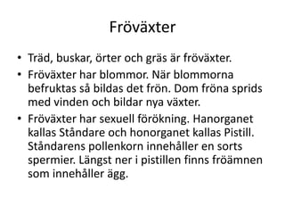 Fröväxter
• Träd, buskar, örter och gräs är fröväxter.
• Fröväxter har blommor. När blommorna
befruktas så bildas det frön. Dom fröna sprids
med vinden och bildar nya växter.
• Fröväxter har sexuell förökning. Hanorganet
kallas Ståndare och honorganet kallas Pistill.
Ståndarens pollenkorn innehåller en sorts
spermier. Längst ner i pistillen finns fröämnen
som innehåller ägg.
 