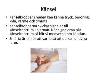 Känsel
• Känselkroppar i huden kan känna tryck, beröring,
kyla, värme och smärta.
• Känselkropparna skickar signaler till
känselcentrum i hjärnan. När signalerna når
känselcentrum så blir vi medvetna om känslan.
• Smärta är till för att varna så att du kan undvika
faror.
 