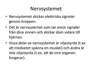 Nervsystemet
• Nervsystemet skickar elektriska signaler
genom kroppen.
• Det är nervsystemet som tar emot signaler
från dina sinnen och skickar dom vidare till
hjärnan.
• Vissa delar av nervsystemet är viljestyrda (t.ex
att medvetet spänna en muskel) och andra är
inte viljestyrda (t.ex. att de inre organen
fungerar).
 