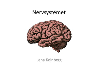 Nervsystemet
Lena Koinberg
 