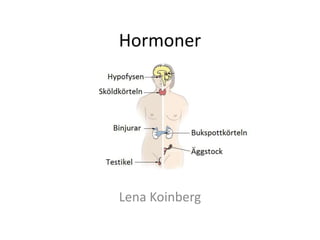 Hormoner
Lena Koinberg
 