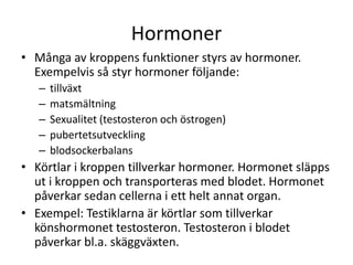 Hormoner
• Många av kroppens funktioner styrs av hormoner.
Exempelvis så styr hormoner följande:
– tillväxt
– matsmältning
– Sexualitet (testosteron och östrogen)
– pubertetsutveckling
– blodsockerbalans
• Körtlar i kroppen tillverkar hormoner. Hormonet släpps
ut i kroppen och transporteras med blodet. Hormonet
påverkar sedan cellerna i ett helt annat organ.
• Exempel: Testiklarna är körtlar som tillverkar
könshormonet testosteron. Testosteron i blodet
påverkar bl.a. skäggväxten.
 