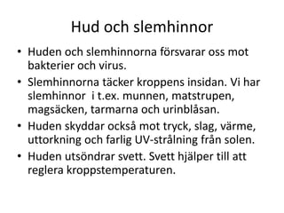 Hud och slemhinnor
• Huden och slemhinnorna försvarar oss mot
bakterier och virus.
• Slemhinnorna täcker kroppens insidan. Vi har
slemhinnor i t.ex. munnen, matstrupen,
magsäcken, tarmarna och urinblåsan.
• Huden skyddar också mot tryck, slag, värme,
uttorkning och farlig UV-strålning från solen.
• Huden utsöndrar svett. Svett hjälper till att
reglera kroppstemperaturen.
 