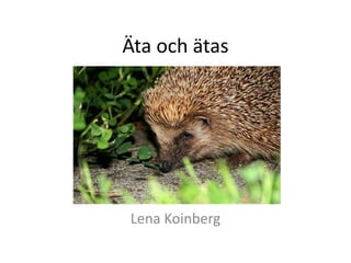 Äta och ätas
Lena Koinberg
 