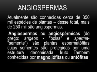 ANGIOSPERMAS
Atualmente são conhecidas cerca de 350
mil espécies de plantas – desse total, mais
de 250 mil são angiospermas.
Angiospermas ou angiospérmicas (do
grego: angeos - "bolsa" e sperma-
"semente") são plantas espermatófitas
cujas sementes são protegidas por uma
estrutura denominada fruto. Também
conhecidas por magnoliófitas ou antófitas
 