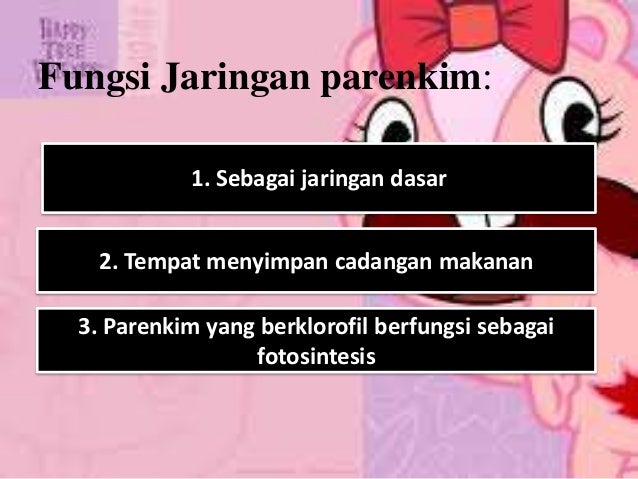 Jaringan Parenkim Jaringan Parenkim