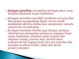  Jaringan parenkim merupakan jaringan dasar yang 
terdapat diseluruh organ tumbuhan. 
 Jaringan parenkim memiliki membran sel yang tipis 
dan jarang mengandung lignin. Sel ini masih 
melakukan aktivitas hidup dan mempunyai vakuola 
yang berisi zat makanan. 
 Jaringan Parenkim disebut juga denganjaringan 
dasar karena merupakan penyusun sebagian besar 
organ tumbuhan, misalnya pada: korteks dan 
empulur batang, korteks akar, mesofil daun, 
endosperm biji, daging buah, jari-jari empulur dan 
jaringan di antara berkas xilem dan floem 
primer/sekunder. 
 