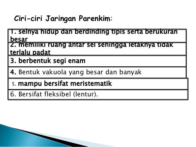 Biologi Jaringan Parenkim