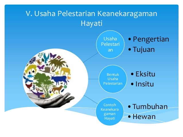 Biologi Pelestarian Lh