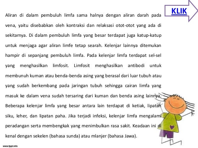 Biologi peredaran darah kelas XI