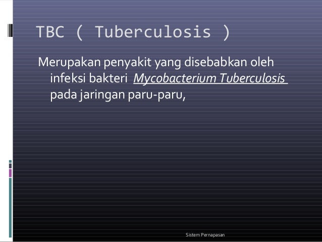Biologi persentasi sistem pernapasan 2
