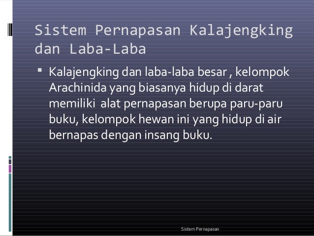 Biologi persentasi sistem pernapasan 2 Biologi persentasi sistem pernapasan 2