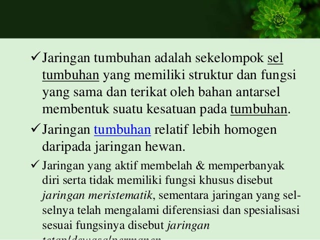 Biologi Pertanian 14 Sept 2017 Pendahuluan Sel Sel Amp Jaringan