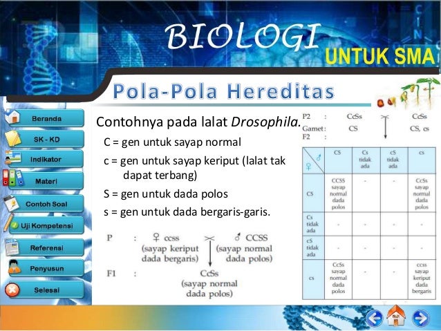 Biologi pertumbuhan
