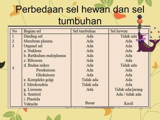 Perbedaan sel hewan dan sel
tumbuhan
 