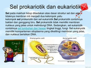 Sel prokariotik dan eukariotik
Sel pada makhuk hidup dibedakan atas dasar struktur sel dan ada
tidaknya membran inti menjadi dua kelompok yaitu
kelompok sel prokariotik dan sel eukariotik.Sel prokariotik contohnya
bakteri dan ganggang biru. Sel prokariotik tidak memiliki membran
nukleus yang jelas untuk melindungi DNA. Sedangkan, sel eukariotik
contohnya sel tumbuhan dan hewan tingkat tinggi, fungi. Sel eukaryotik
memiliki kompartemen sitoplasma yang dikelilingi membran yang jelas,
dan nukleus berisikan DNA.
 