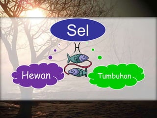 Sel
Hewan Tumbuhan
 