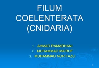 1
FILUM
COELENTERATA
(CNIDARIA)
1. AHMAD RAMADHANI
2. MUHAMMAD MA’RUF
3. MUHAMMAD NOR FAZLI
 
