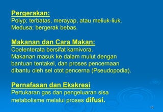 10
Pergerakan:
Polyp; terbatas, merayap, atau meliuk-liuk.
Medusa; bergerak bebas.
Makanan dan Cara Makan:
Coelenterata bersifat karnivora.
Makanan masuk ke dalam mulut dengan
bantuan tentakel, dan proses pencernaan
dibantu oleh sel otot pencerna (Pseudopodia).
Pernafasan dan Ekskresi
Pertukaran gas dan pengeluaran sisa
metabolisme melalui proses difusi.
 
