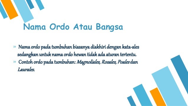 Contoh Klasifikasi Makhluk Hidup Hewan Dan Tumbuhan