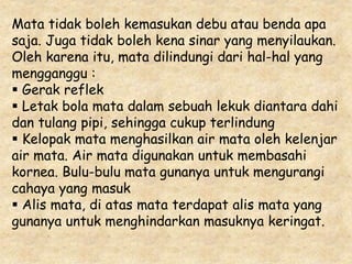 Mata tidak boleh kemasukan debu atau benda apa 
saja. Juga tidak boleh kena sinar yang menyilaukan. 
Oleh karena itu, mata dilindungi dari hal-hal yang 
mengganggu : 
 Gerak reflek 
 Letak bola mata dalam sebuah lekuk diantara dahi 
dan tulang pipi, sehingga cukup terlindung 
 Kelopak mata menghasilkan air mata oleh kelenjar 
air mata. Air mata digunakan untuk membasahi 
kornea. Bulu-bulu mata gunanya untuk mengurangi 
cahaya yang masuk 
 Alis mata, di atas mata terdapat alis mata yang 
gunanya untuk menghindarkan masuknya keringat. 
 