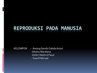 REPRODUKSI PADA MANUSIA
KELOMPOK : - Awang Gendis Sabda Astari
-Destry Mardiana
-Dzikri Nashrul Fauzi
-Yusuf Pahrizal
 